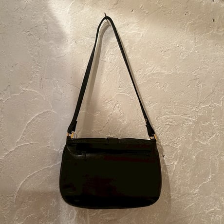 bag 161[ge41]