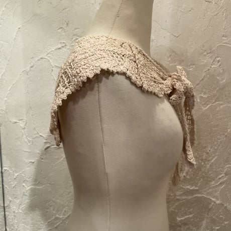 wearing collar 12[AA-195,AA-196]