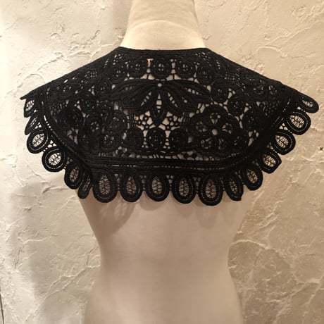 wearing collar 14[AA208,AA209]