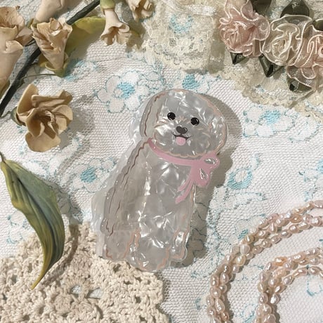 accessory 571[ge241]