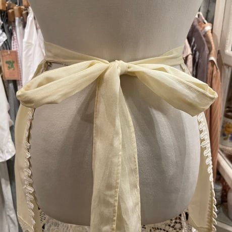 apron 481[ge743]