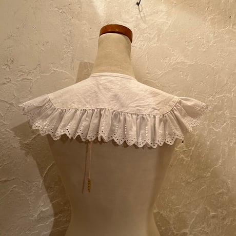 wearing collar55[na241]