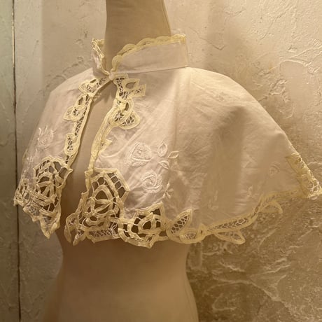 wearing collar45[na234]