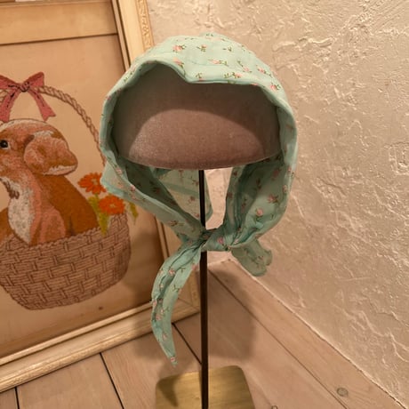 hat 256[na270]