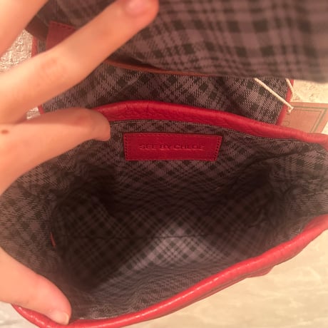 bag 229[ge744]