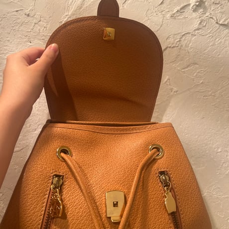 bag 232[ge749]
