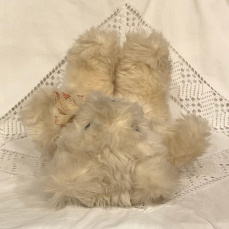animal 235[AN326]