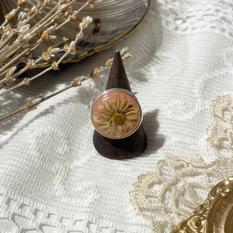 accessory 452[ge390]