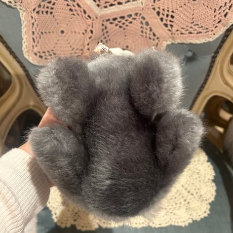 animal 365[an377]