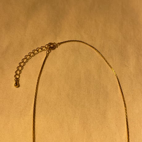 accessory 273[ge210]