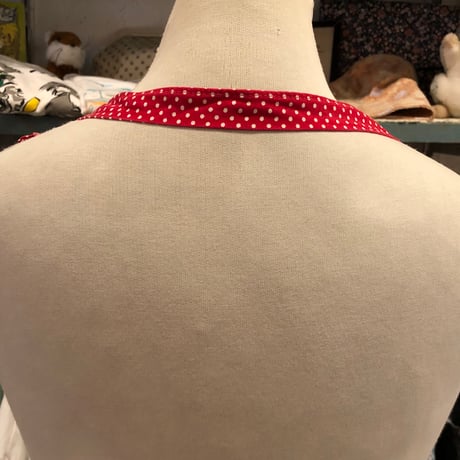 apron 572[ge604]