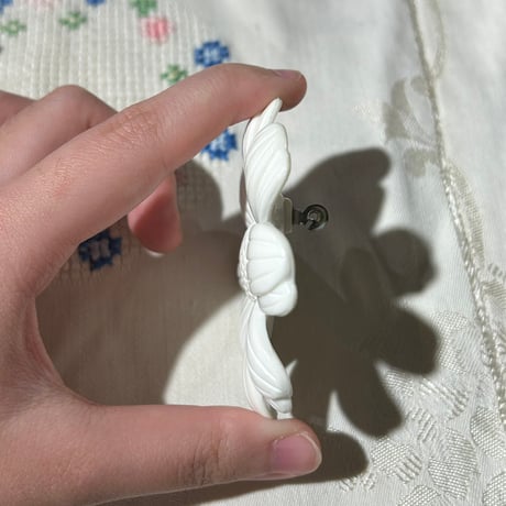 accessory 564[ge41]