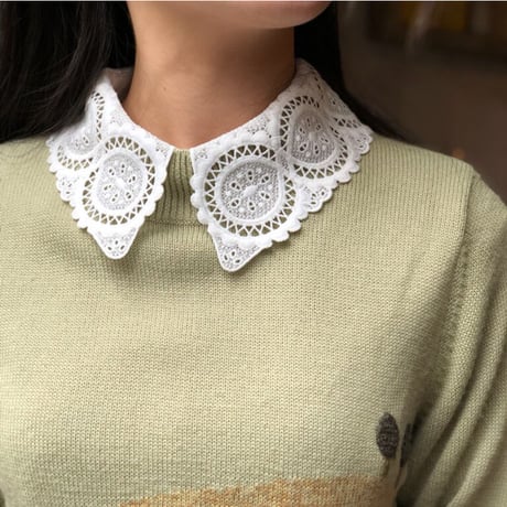 wearing collar 7[AA-189]