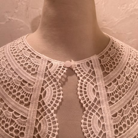 wearing collar54[na238]