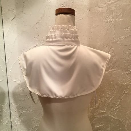wearing collar 6[AA-189]