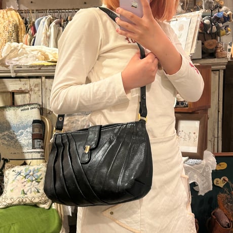 bag 161[ge41]