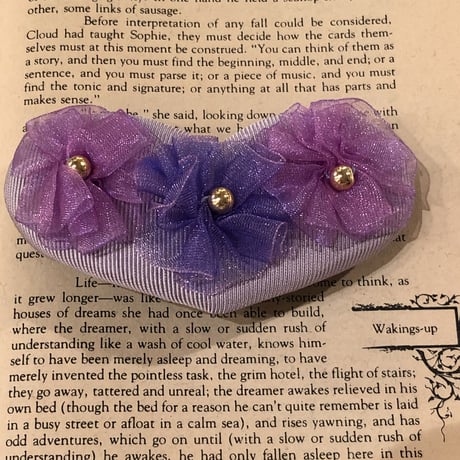 accessory 181[ge219]
