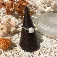 accessory 547[ge833]