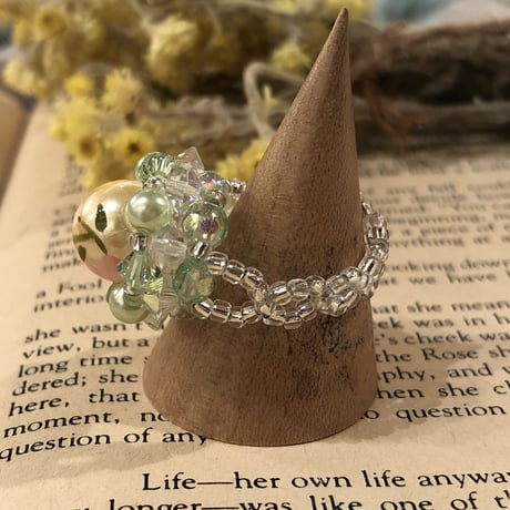 accessory 197[ge208]