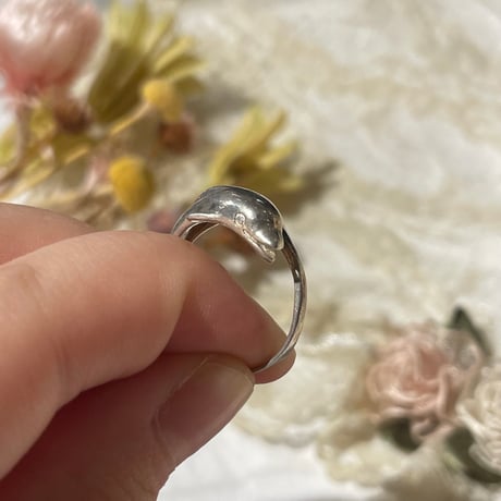 accessory 463[ge996]