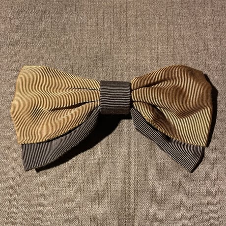 accessory 282[ge263]
