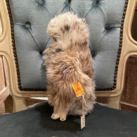 animal 169[AN261]