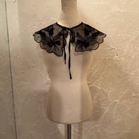 wearing collar46[na230]