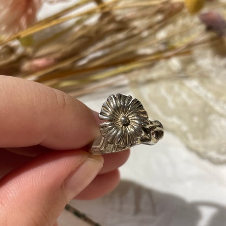 accessory 462[ge995]