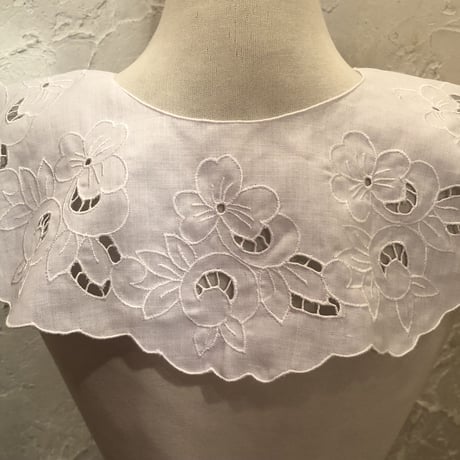 wearing collar 11[FF723]