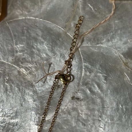 accessory 503[ge396]