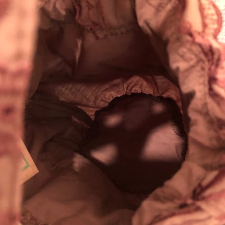 bag 223[na139]