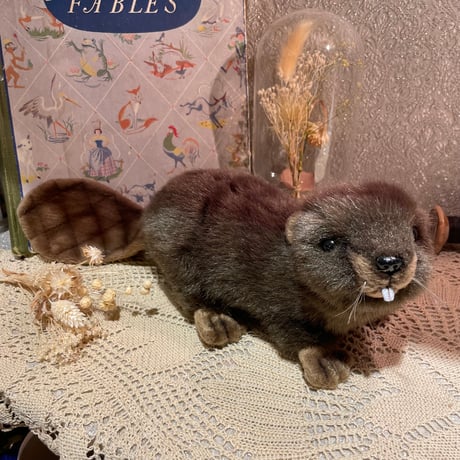 CATEGORY used&vintage stuffed animal | JuRian