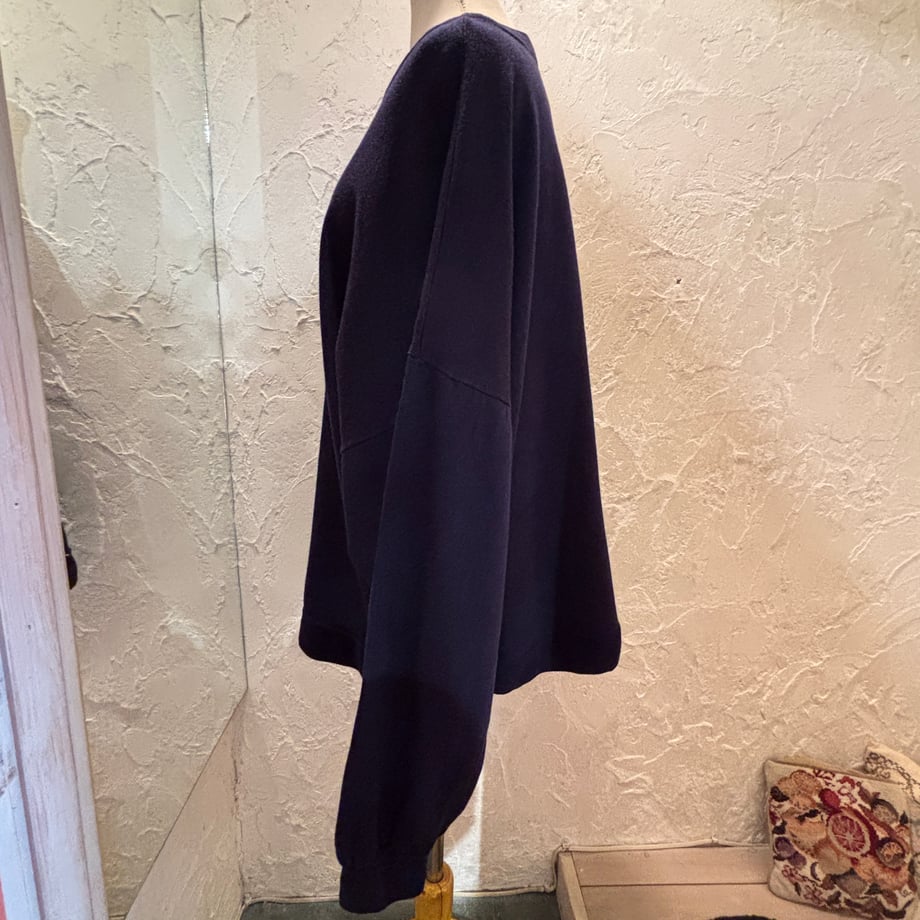 69c22a077e954028e009ec98