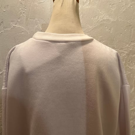 sweat 528[na509]