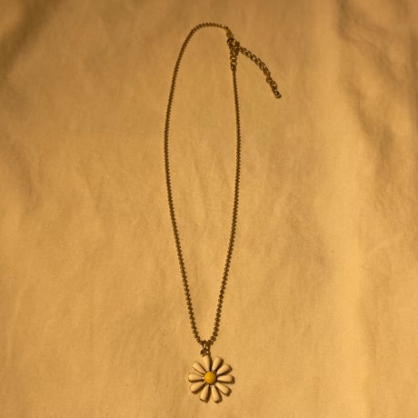 accessory 270[ge207]