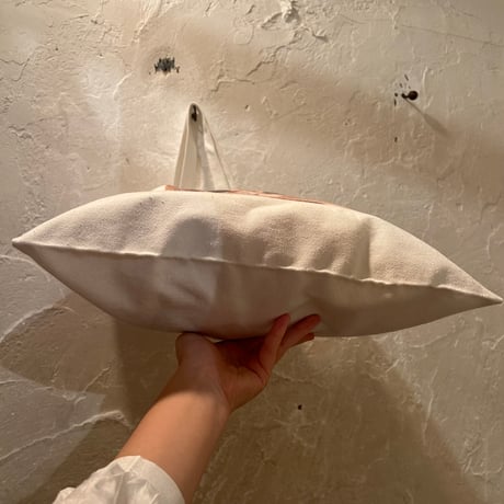 bag 254[FF764]