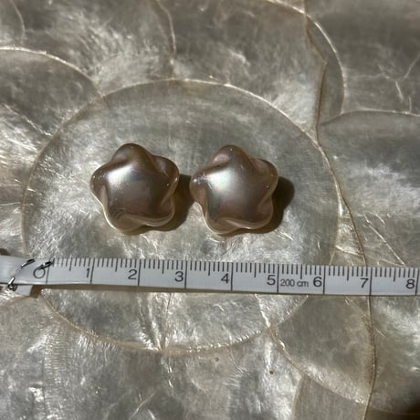 accessory 301[ge303]