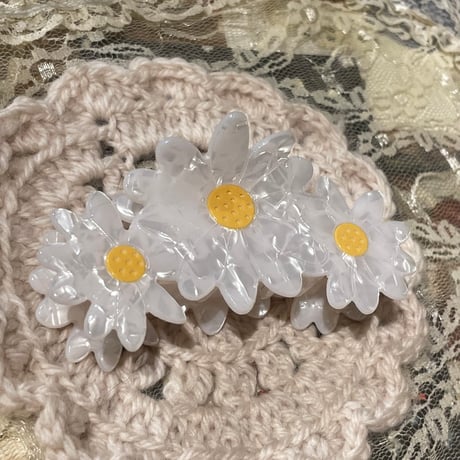 accessory 574[ge246]