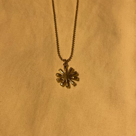 accessory 270[ge207]