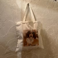 bag 254[FF764]