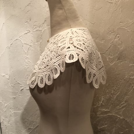 wearing collar 14[AA208,AA209]