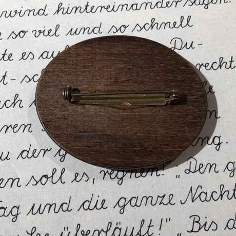 accessory 254[ge590]