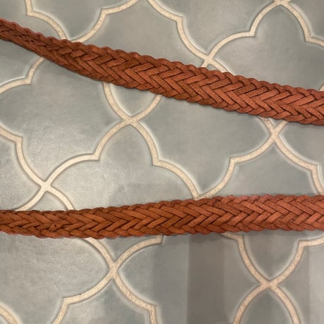 belt 116[ge769]