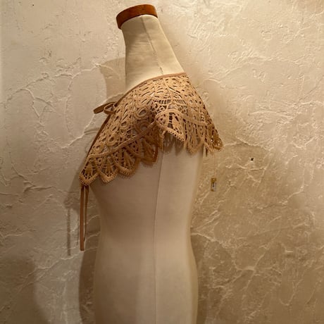 wearing collar56[na237]