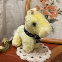 animal 508[an510]