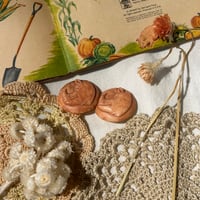 accessory 521[ge643]
