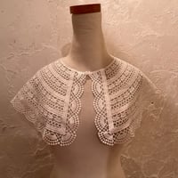 wearing collar54[na238]