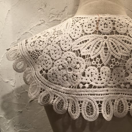 wearing collar 14[AA208,AA209]