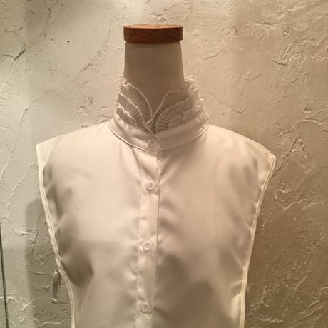 wearing collar 6[AA-189]
