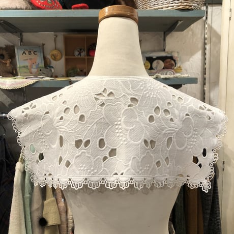 wearing collar 3[AA-190]